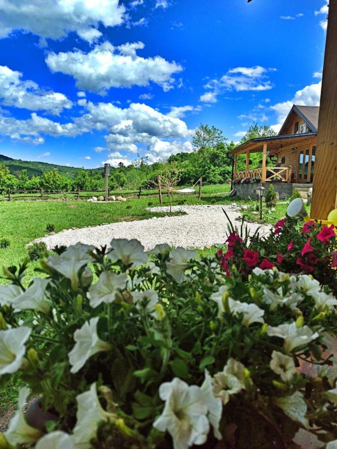 B&B Kraljevo - Brvnare Ljubojević - Bed and Breakfast Kraljevo