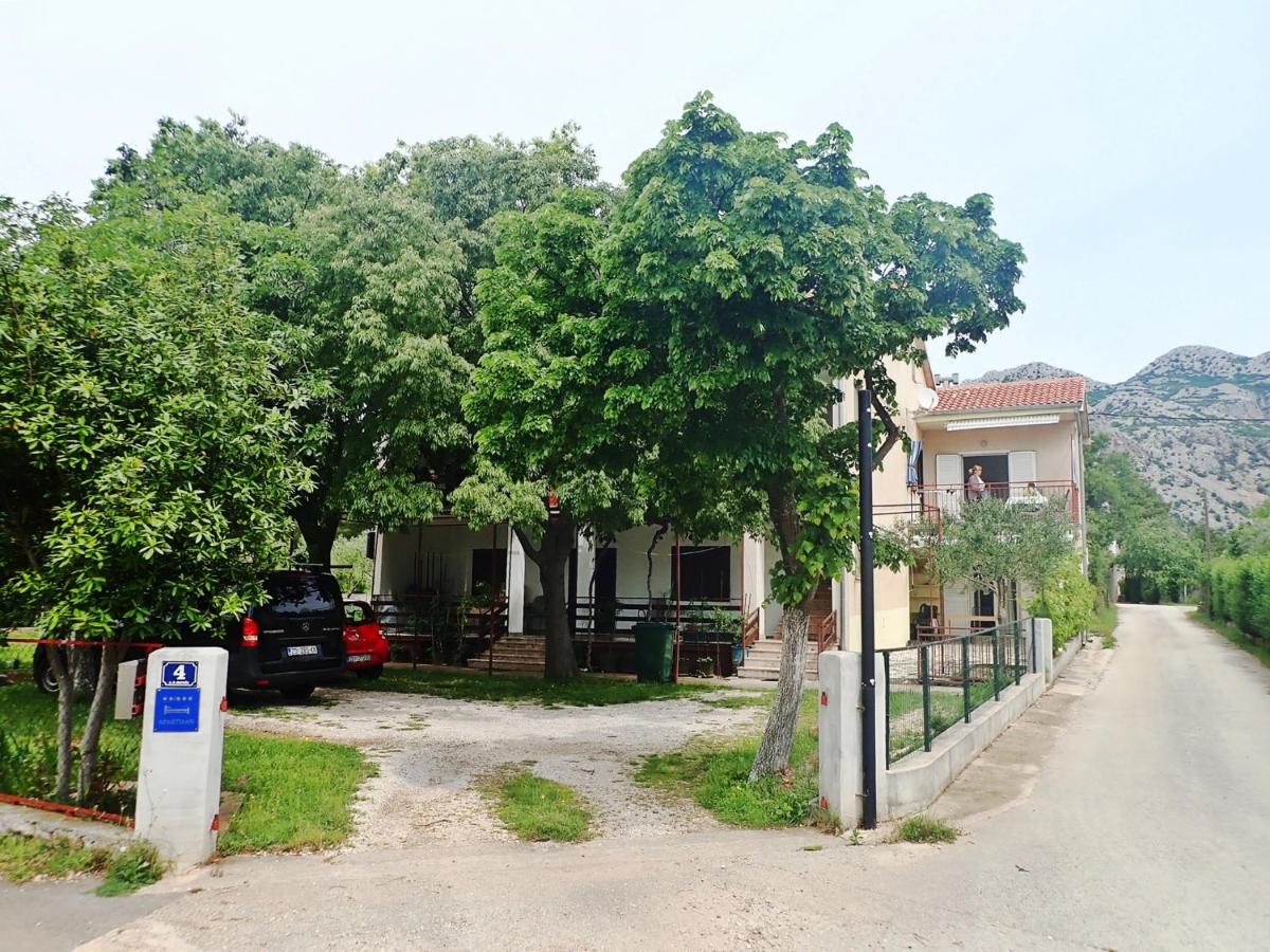 Studio apartments Kiwi-near Paklenica NP - B&B Cittavecchia