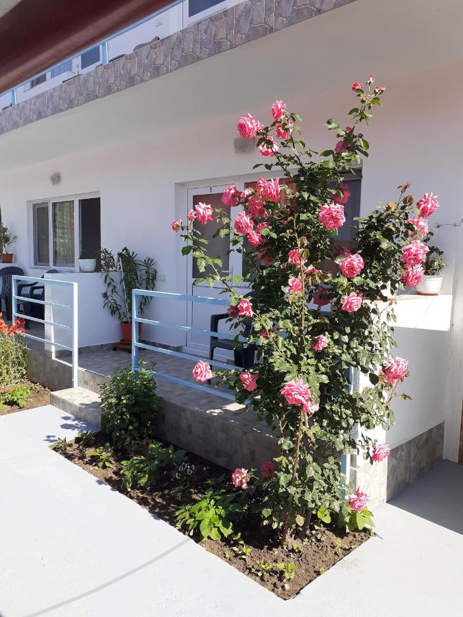 TERRA NOVA SOLIS - B&B Costineşti