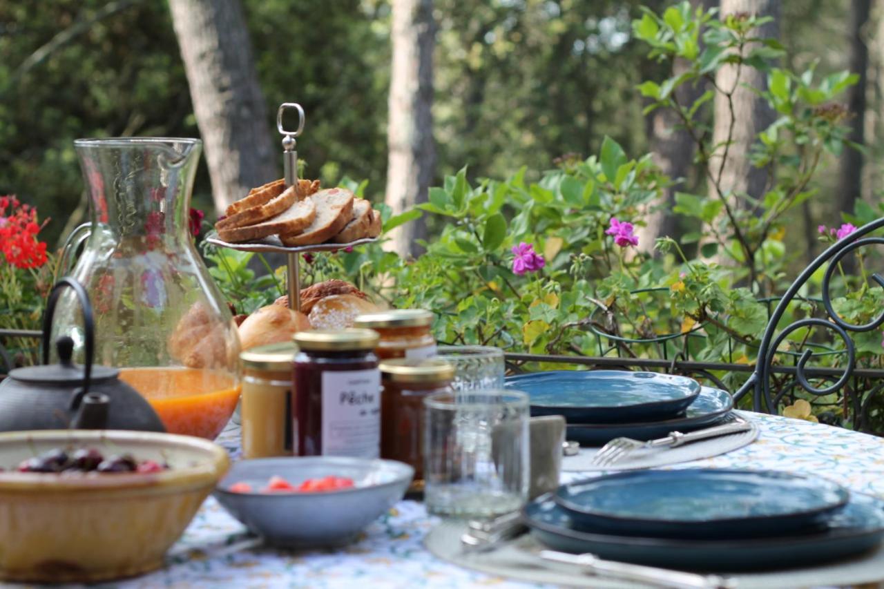 Lou Paradou Lodge - B&B Grillon
