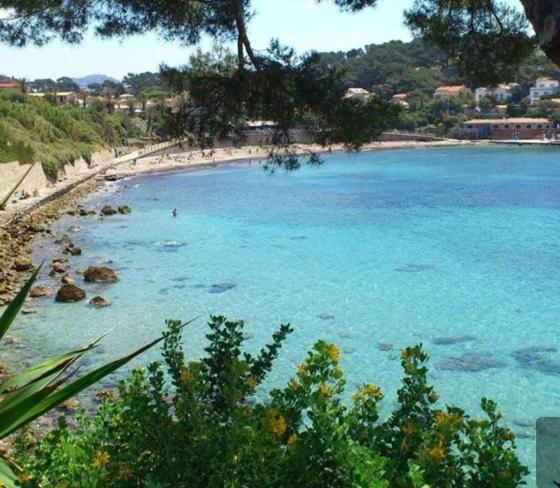Studio avec parking privé, plage et centre à pied 1 - B&B Sanary-sur-Mer