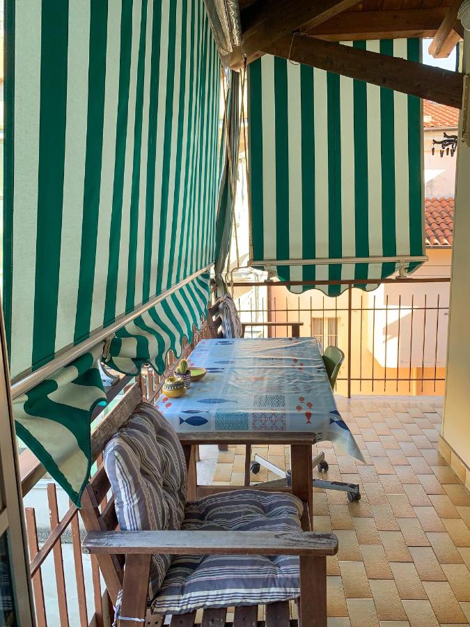 Casa Cactus - Appartamento in centro - Bed and Breakfast San Benedetto del Tronto