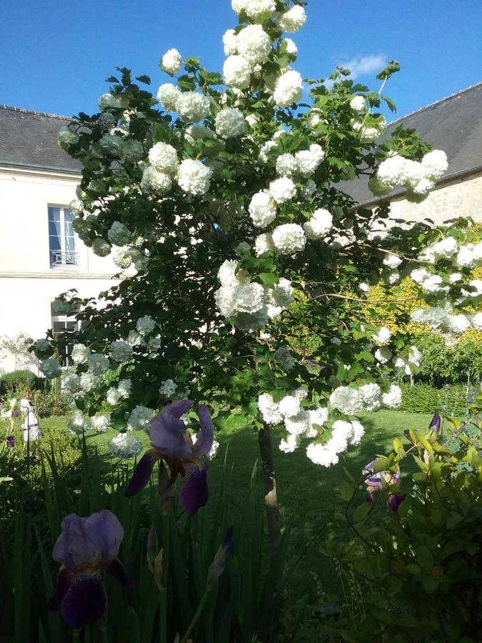 Chambre d'hôte le 18-20 - B&B