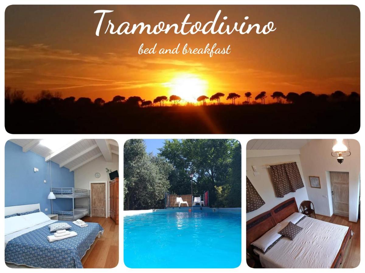 B&B San Pietro In Vincoli - Tramontodivino b&b - Bed and Breakfast San Pietro In Vincoli