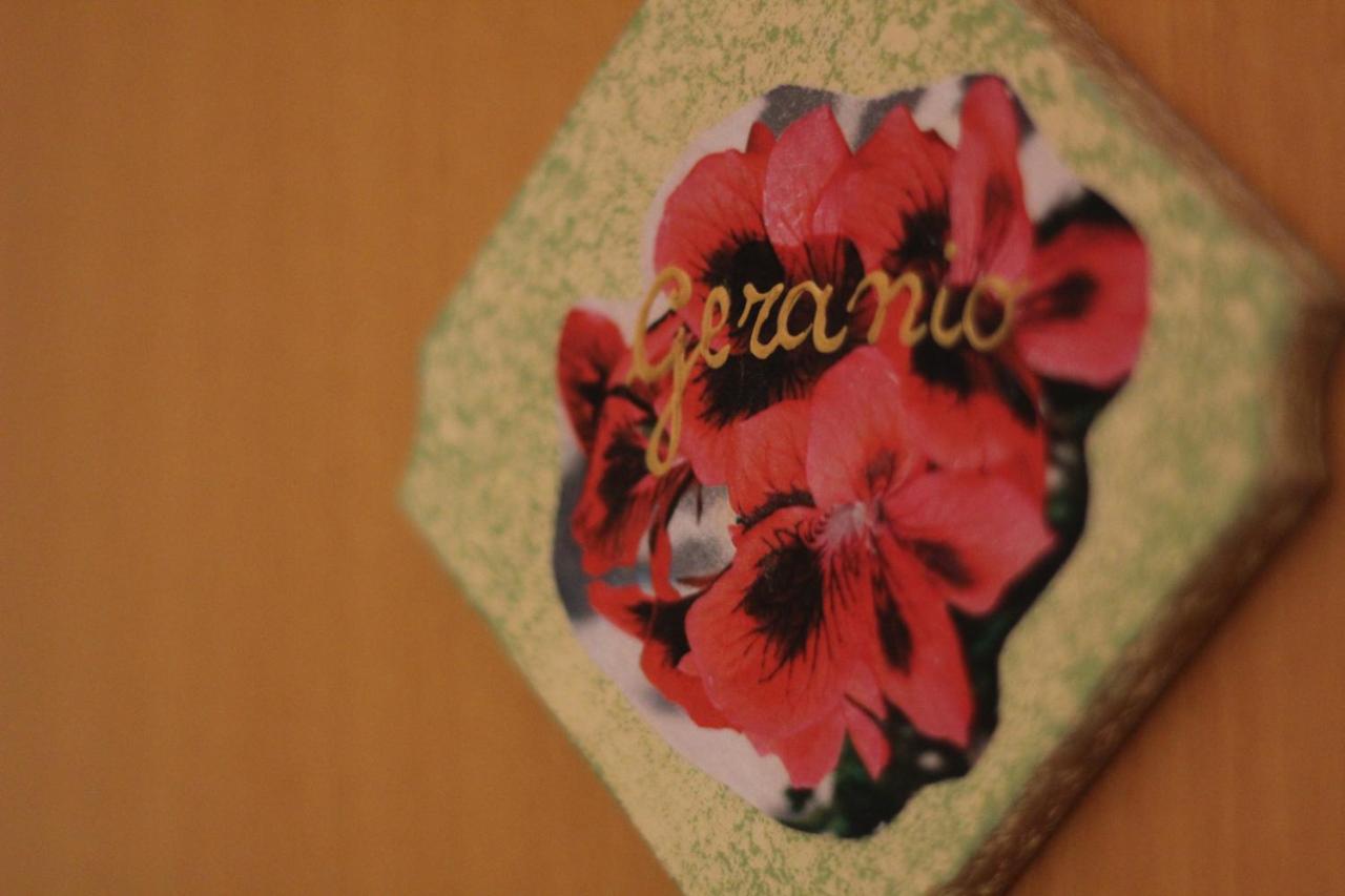 Camera Matrimoniale con Terrazza