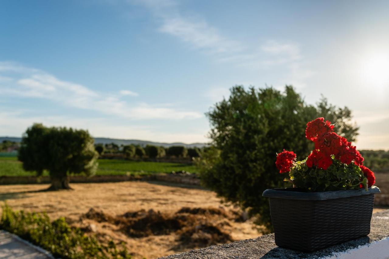 Il pergolato sul mare - B&B Monopoli