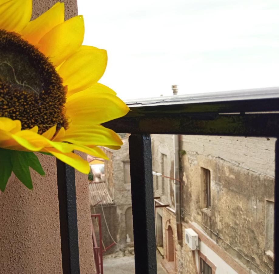 Le Stanze dello Spassetto - Bed and Breakfast