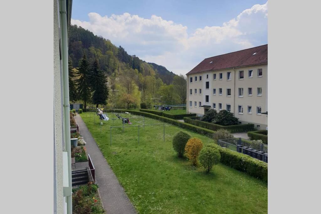FeWo in ruhiger Lage am Wanderweg zum Lilienstein - Chambres d’hôtes