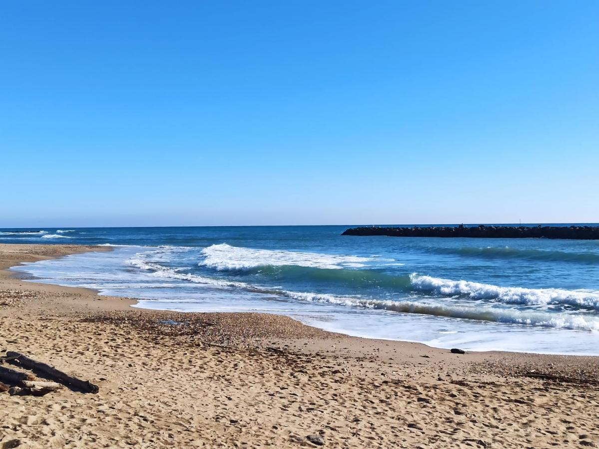 T3 45M2, Cap d'Adge,Secteur Falaise,4-6 pers, Clim, Fibre - WIFI, 100m plage - Chambres d'hôtes Le Cap d'Agde