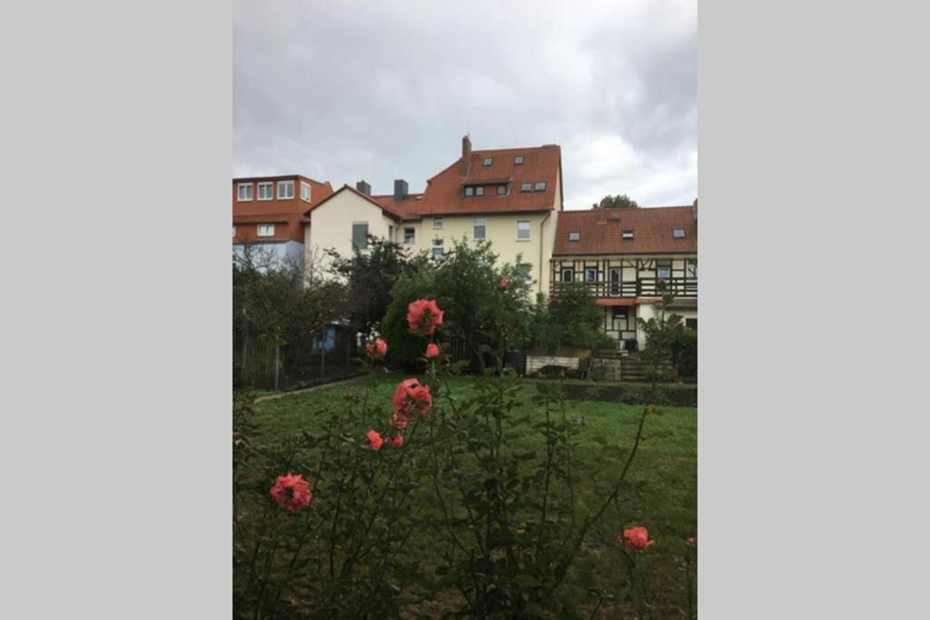 4 Sterne Ferienwohnung , 65 qm - B&B