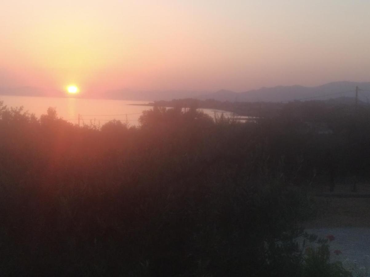 Maistroshome - Bed and Breakfast Kotrónion