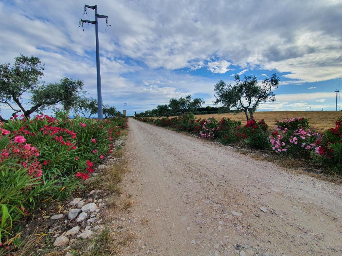 Tenuta viale degli ulivi - B&B San Martino in Pensilis