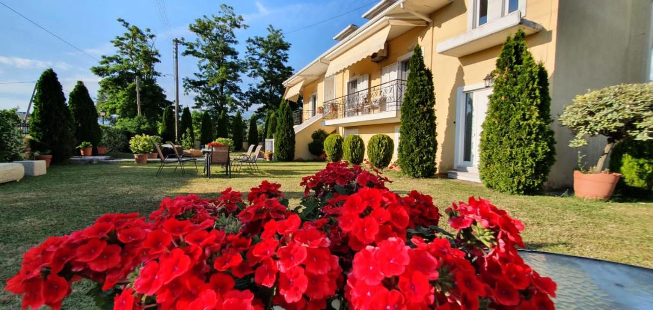 B&B Ioannina - Sevi's Luxury Guesthouse Villa - Bed and Breakfast Ioannina