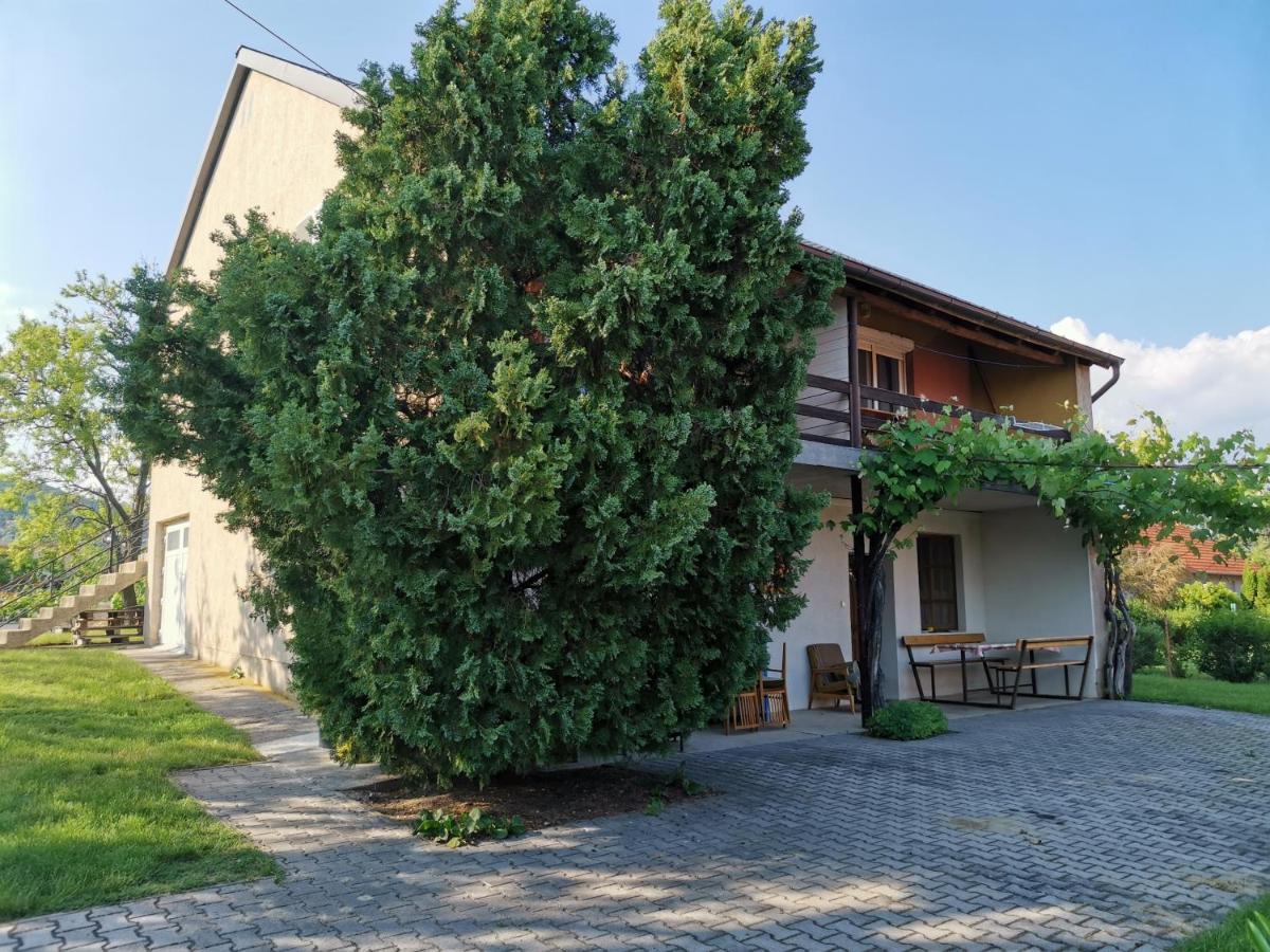 Éva Apartmanház - B&B