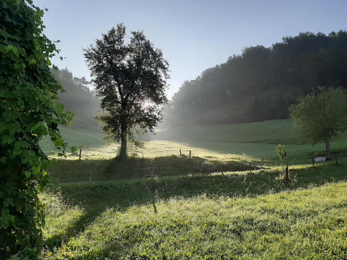 Apartma Teloh - B&B Kopačnica