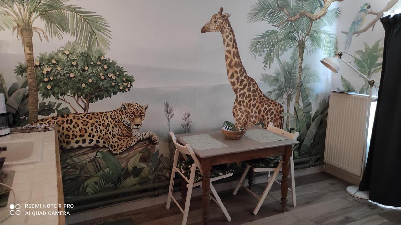 Studio le Memagne WiFi gratuit - B&B Lacuisine