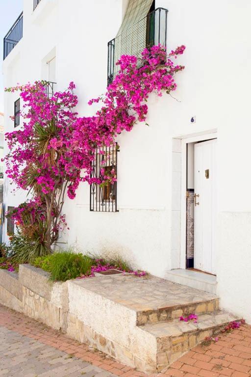 La Casa de Alicia - B&B