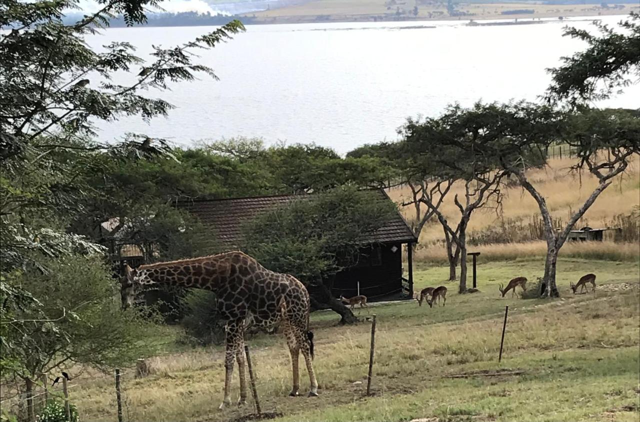 Hoopoe log cabin - B&B Albert Falls