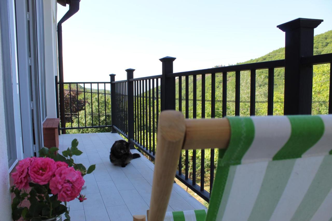 The nature - B&B Signagi