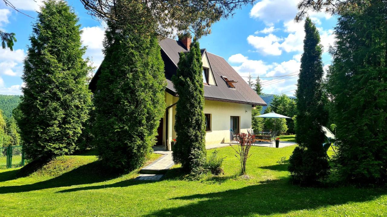 Forest House - B&B Lubomierz