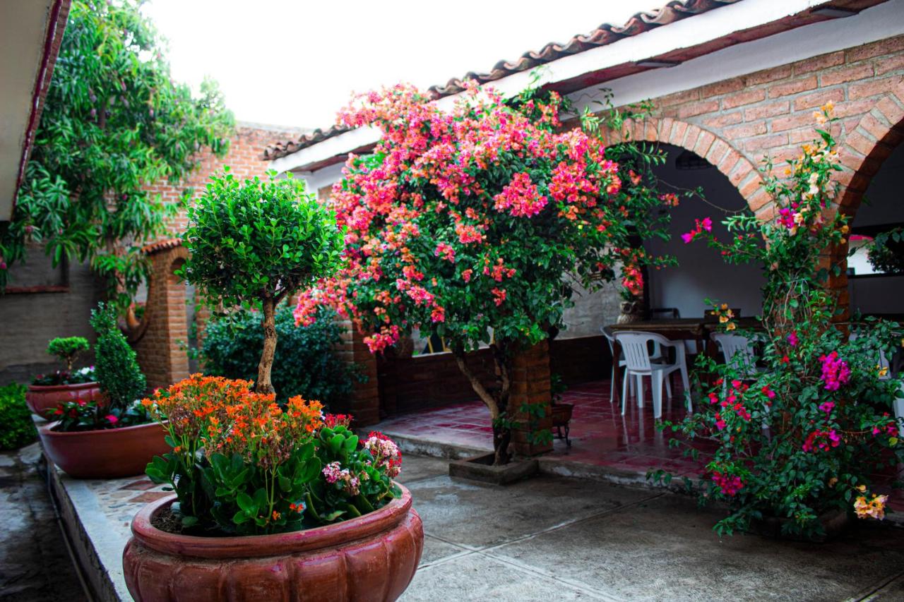 B&B Mascota - Villa Flores, casa en el centro de Mascota - Bed and Breakfast Mascota