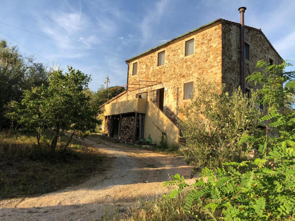 Operaviva - B&B