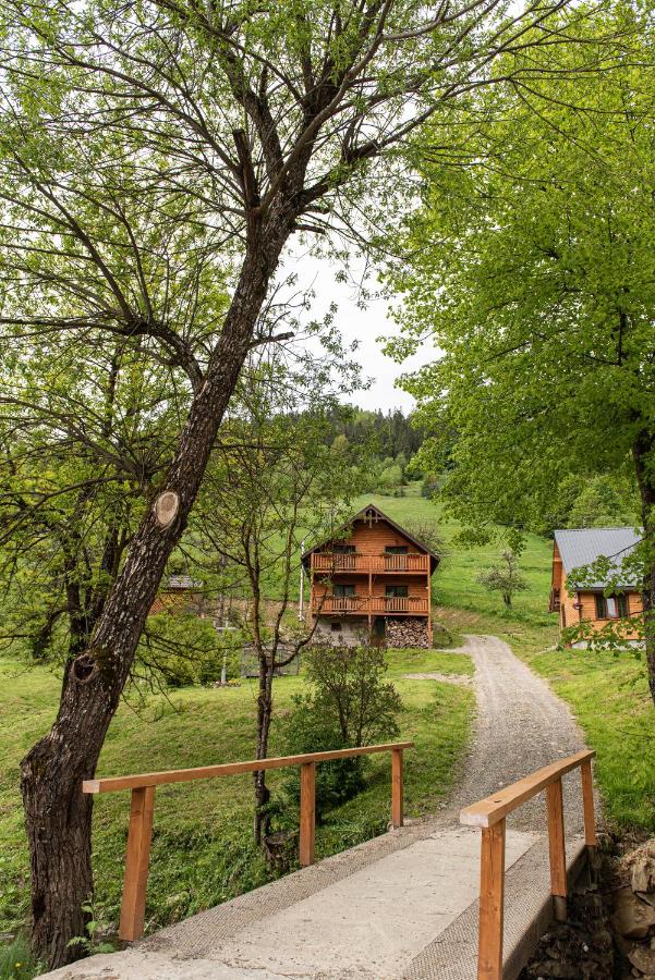 Villa Grace - B&B Oriavchyk