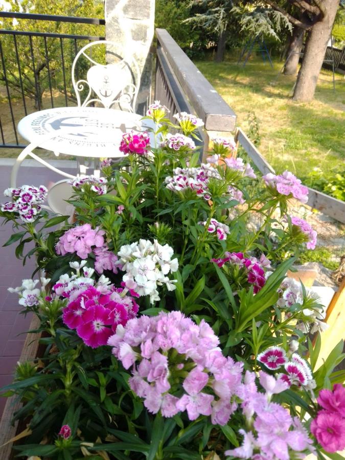 Casa T Bed and Breakfast & Home Restaurant di Tacchino Simone - Ferienwohnung Tagliolo Monferrato
