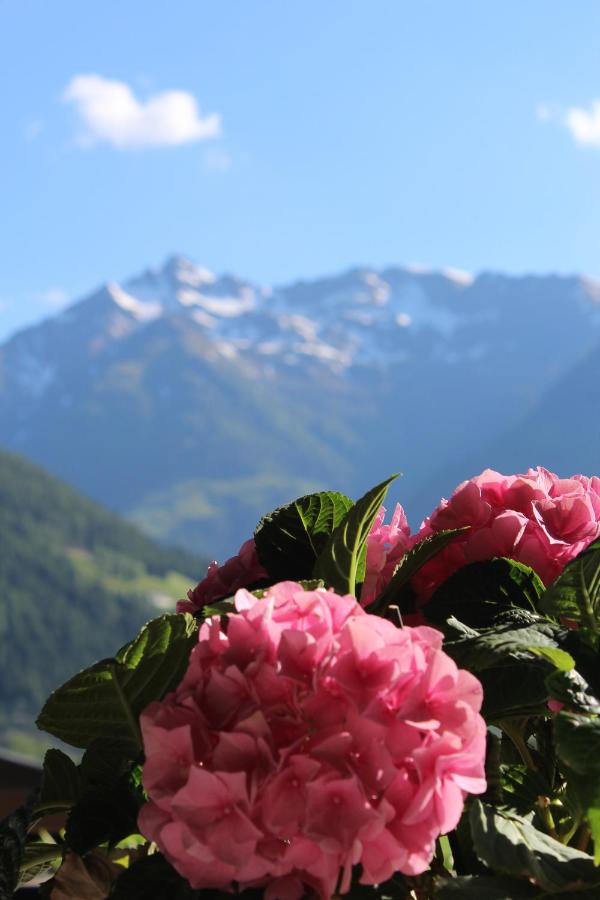 Apartment Seber - B&B Stuhlfelden