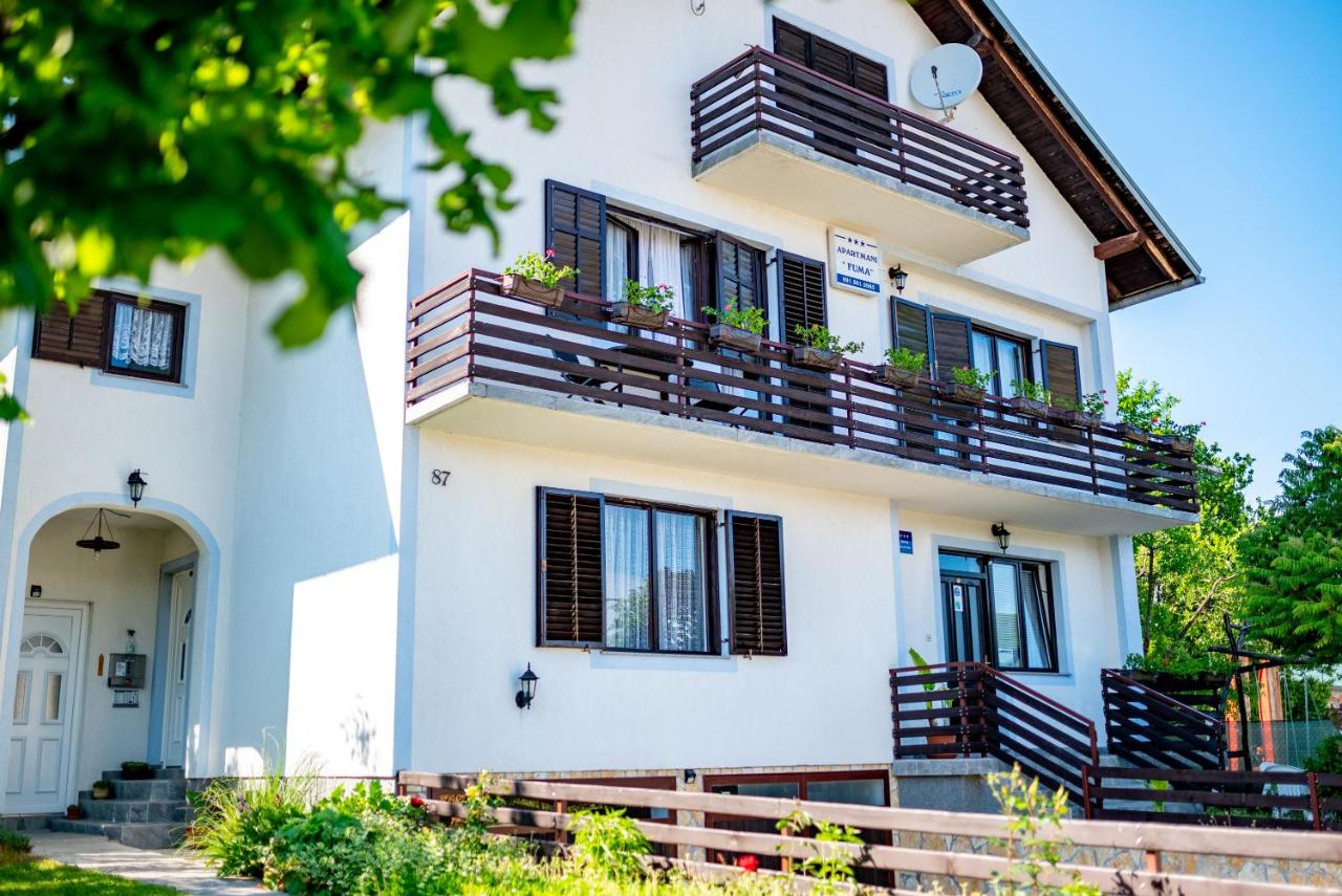 One-Bedroom Apartment with Terrace