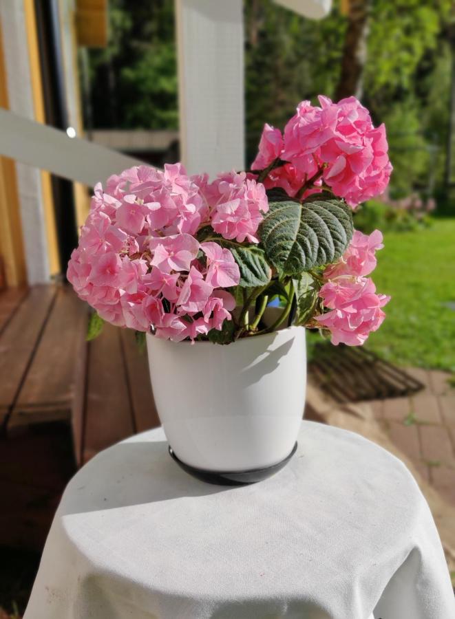 Haaran torppa - B&B