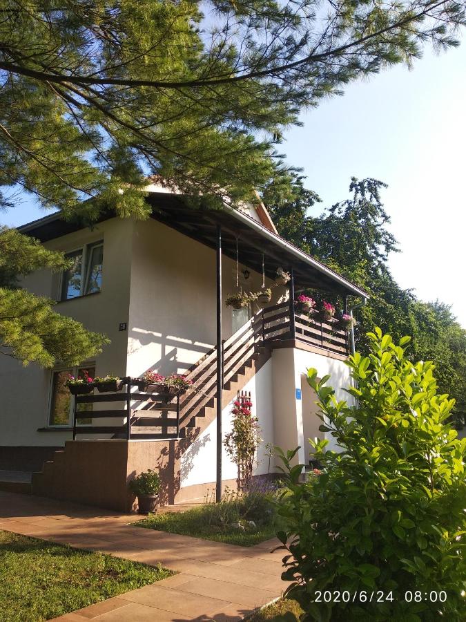 Apartments Celopek - B&B