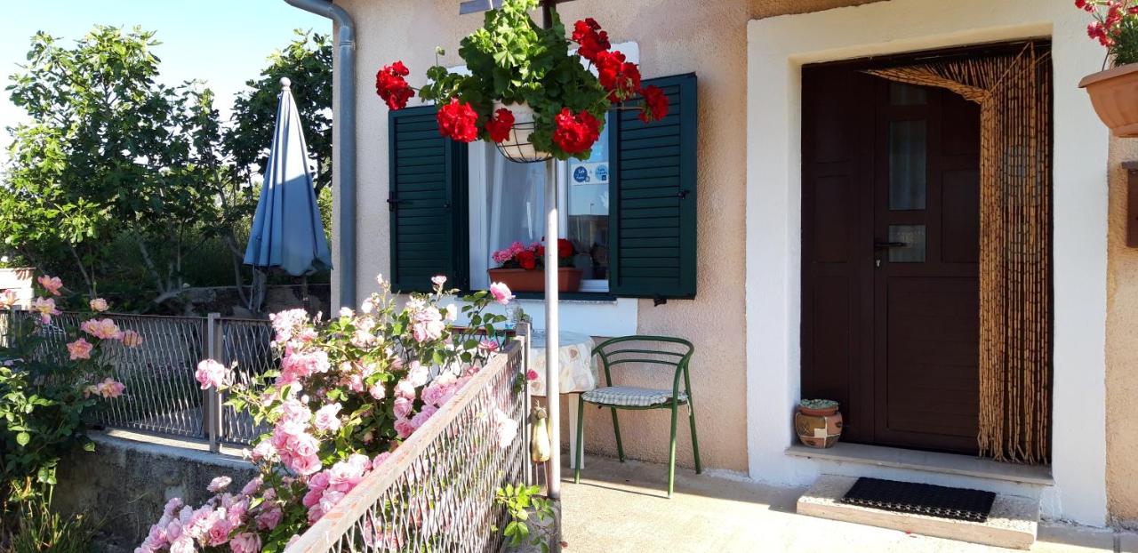 Holiday home "Goga" ruralna kuća - B&B Drniš