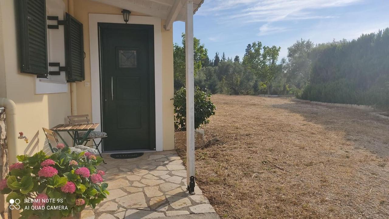 Appartement - Rez-de-Chaussée