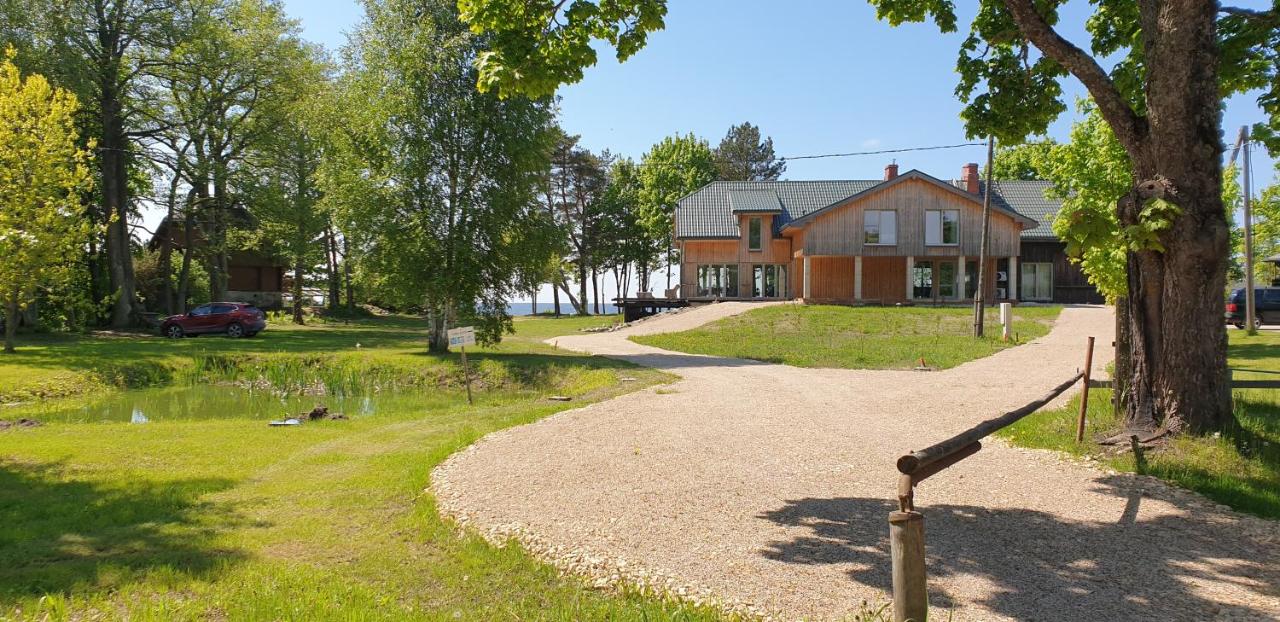 Guest House Vidlauči - B&B