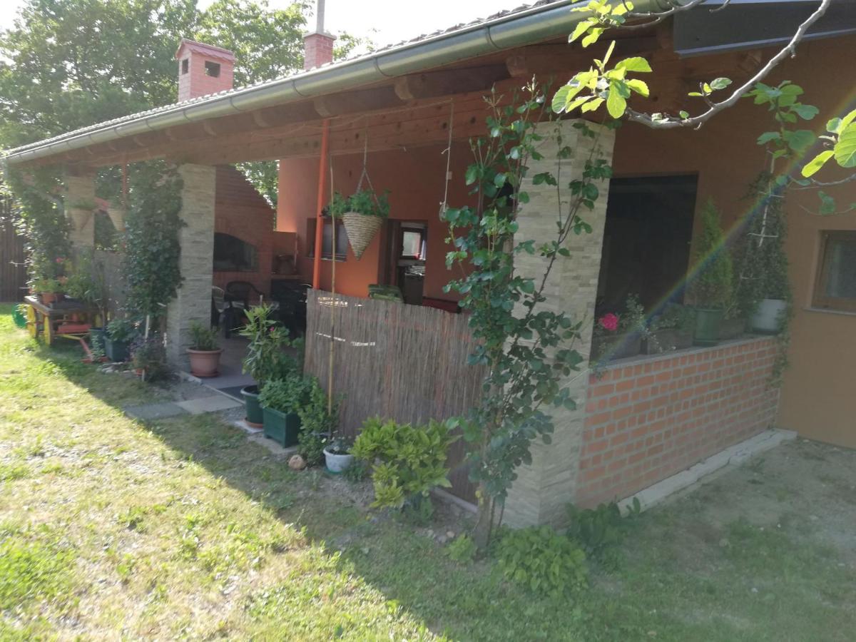 Paun - B&B