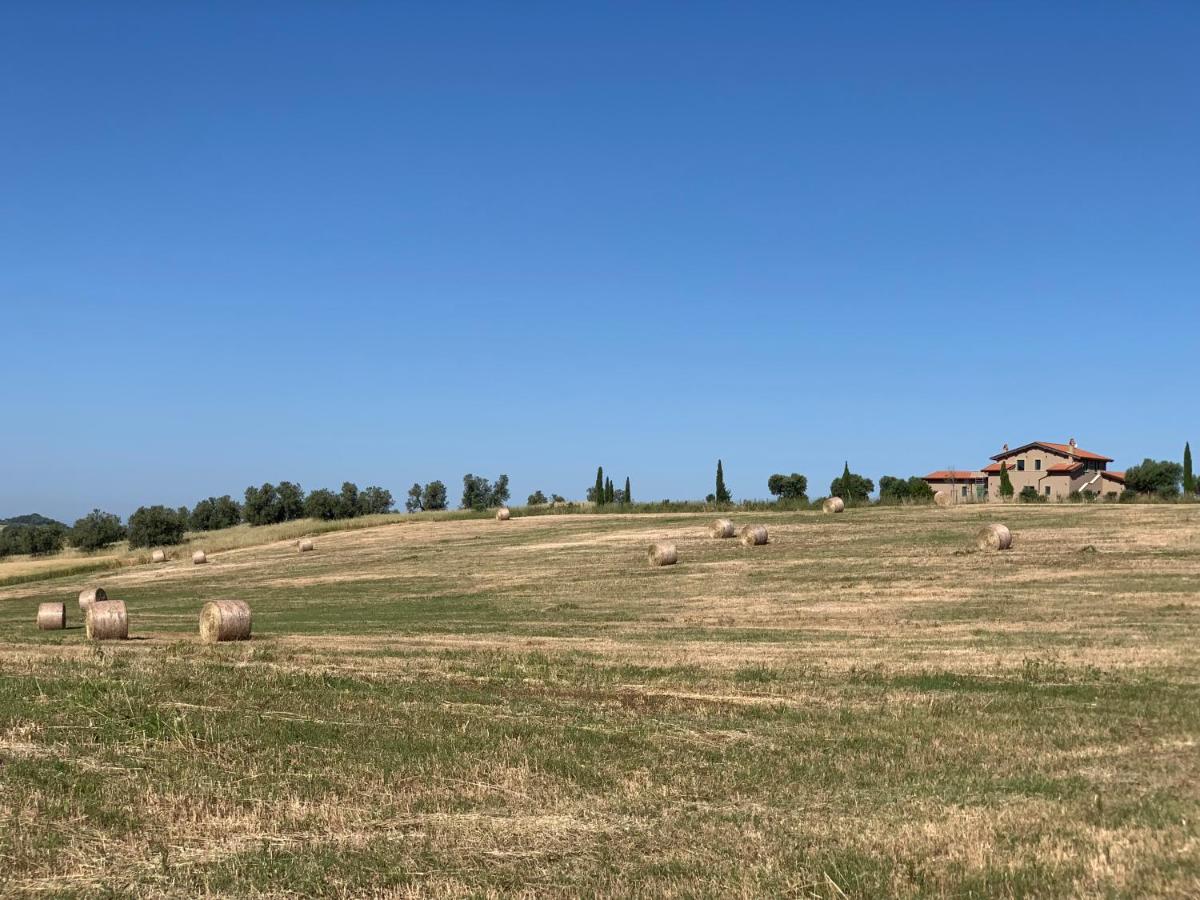 Il Poggio di Musignano - Ferienwohnung