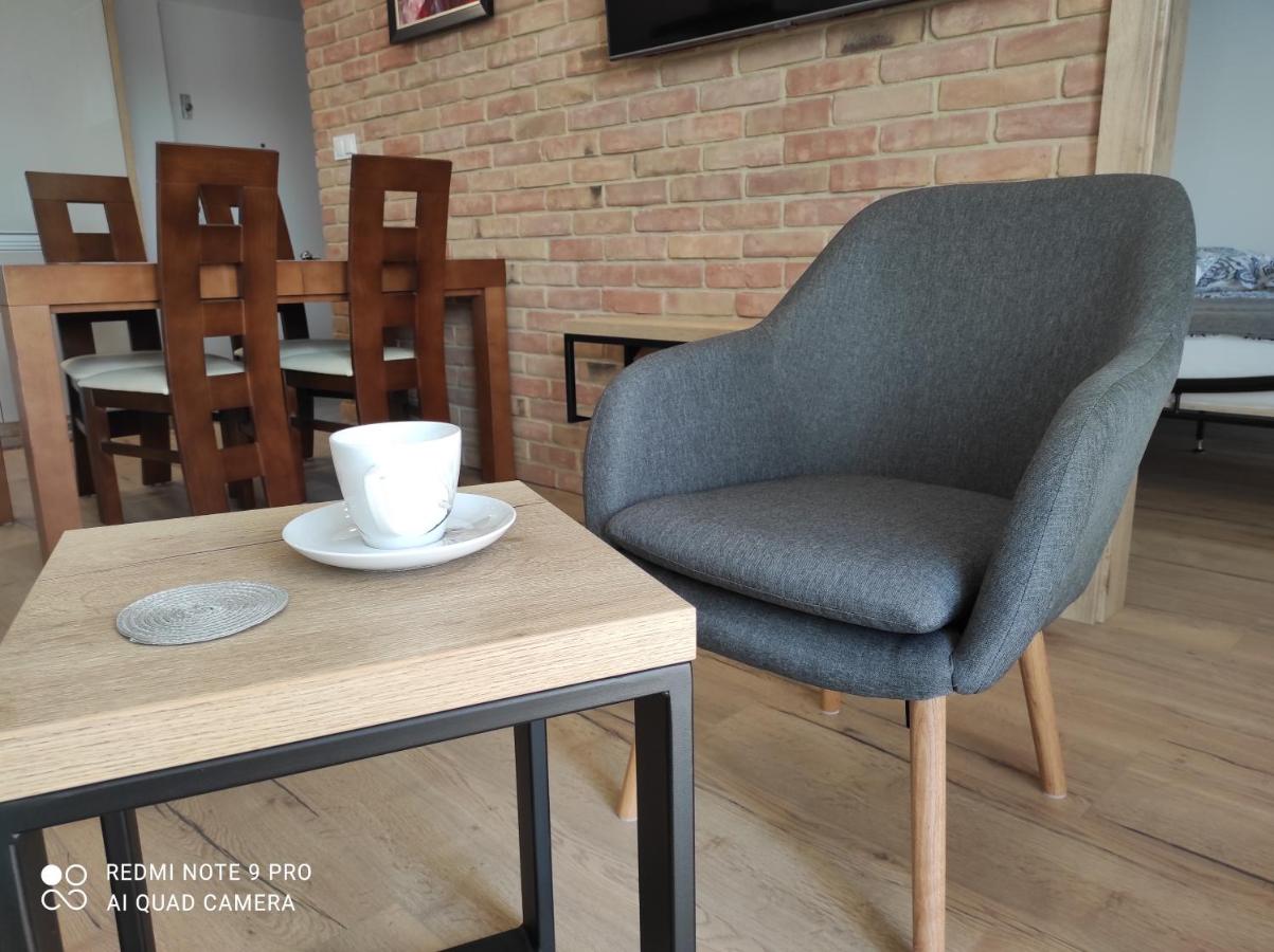 MAZURSKA DAMA LUXURY APARTAMENT - Bed and Breakfast Giżycko