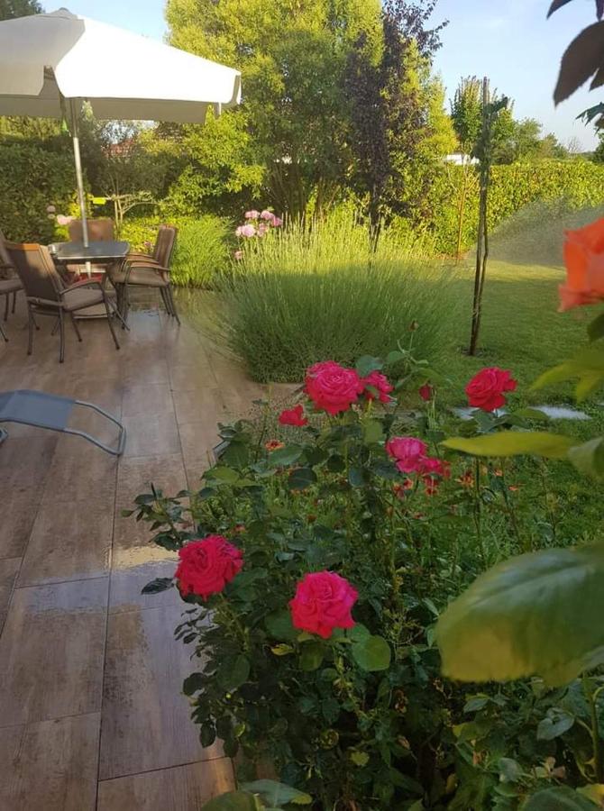 Apartman Corluka Grude - B&B Grude