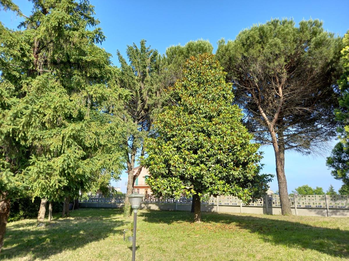 Alloggi Adamo Venice - B&B Oriago