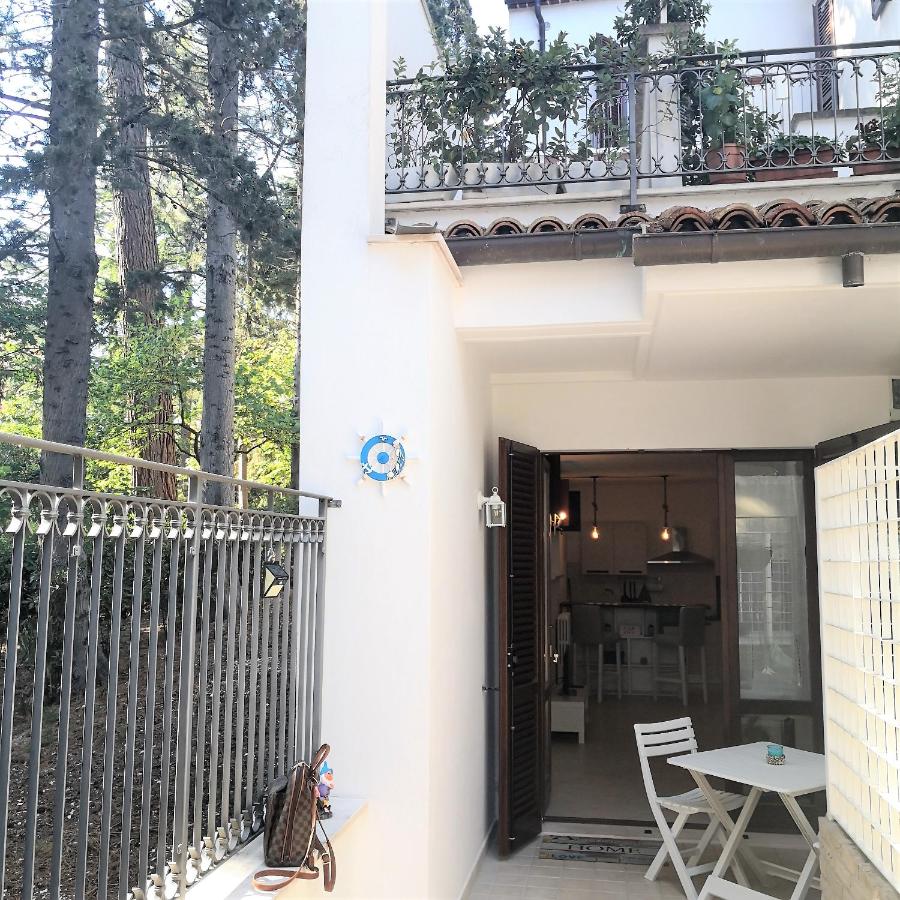 Centralissimo appartamento a Numana - B&B Numana