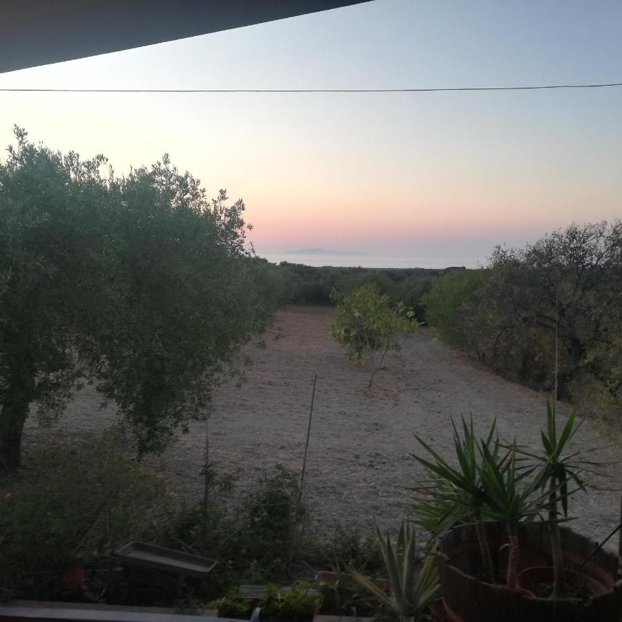 Villa Tirso - IUN S8237 - B&B Sorso