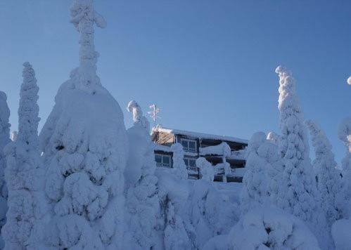 The Peak House - B&B