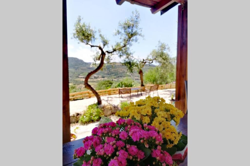 Tiria House Bosa - Casa Vacanze - B&B Bosa