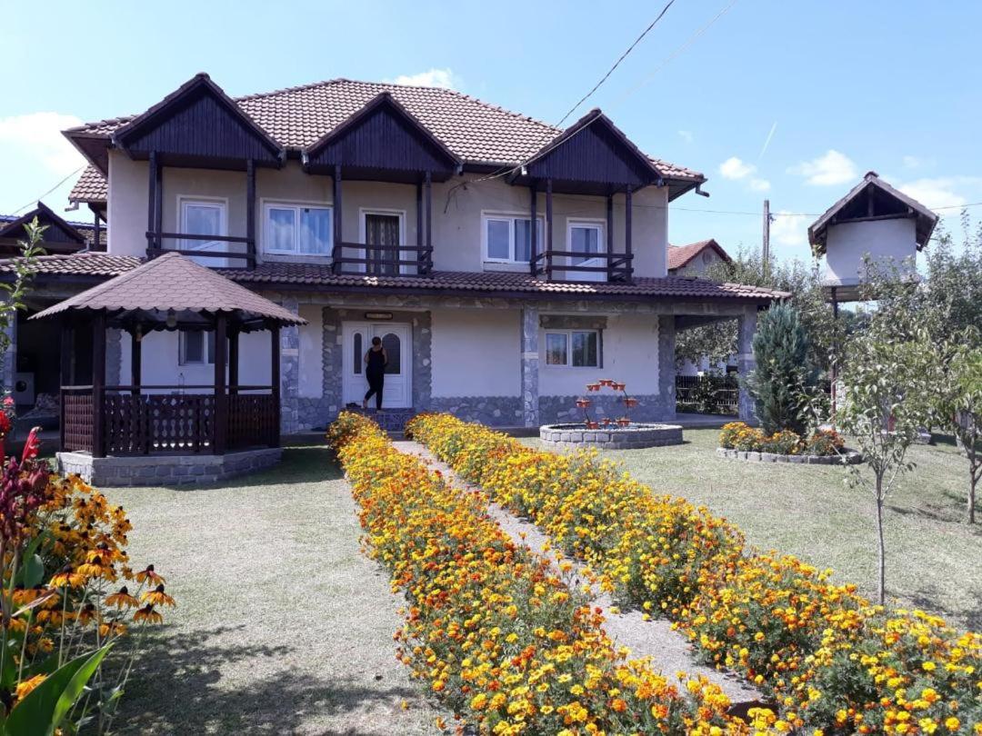 B&B Călimăneşti - Casa Avi - Bed and Breakfast Călimăneşti