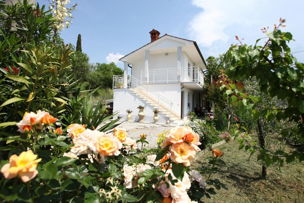 Apartment Gorgo - B&B