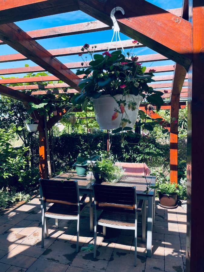 Apartmani Danijela - B&B Punat