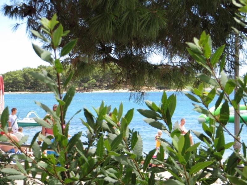 Beachfront Rooms & Apartments - B&B
