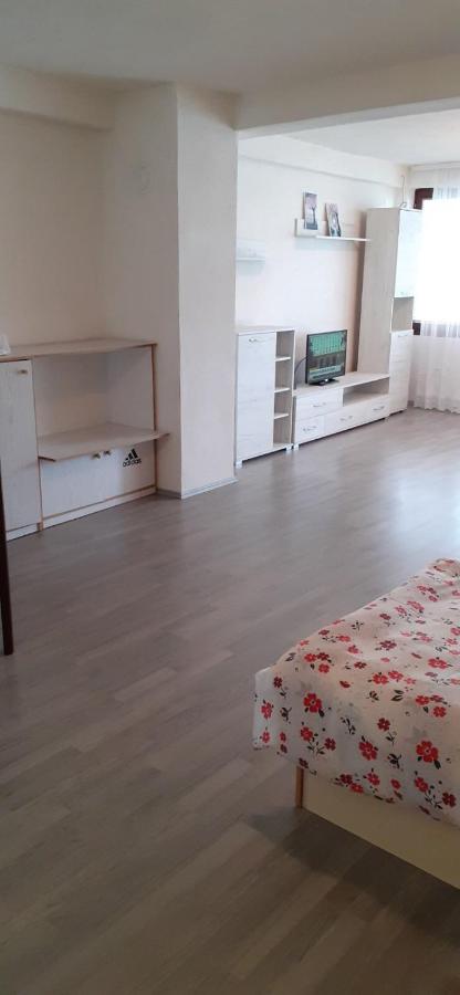 Studio Apartment with Lake View