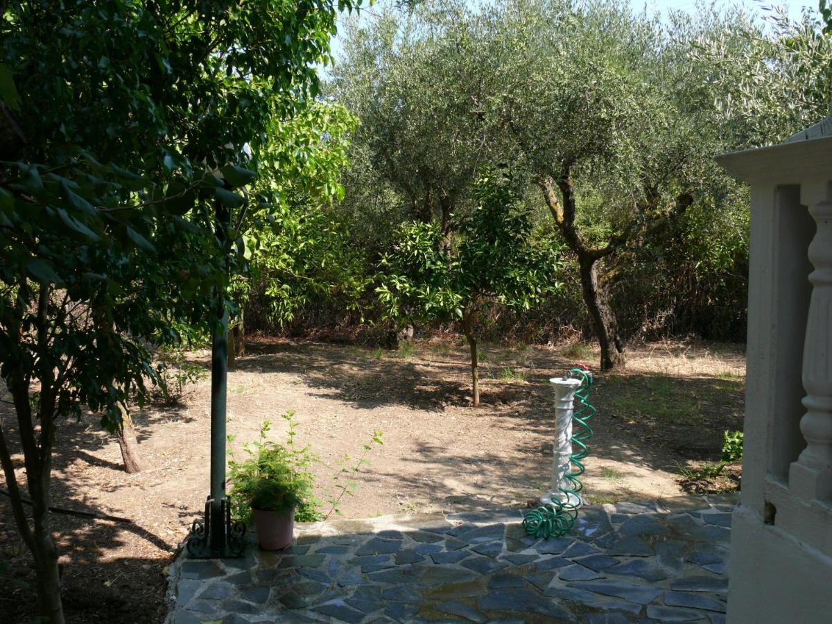 Apartment mit Terrasse